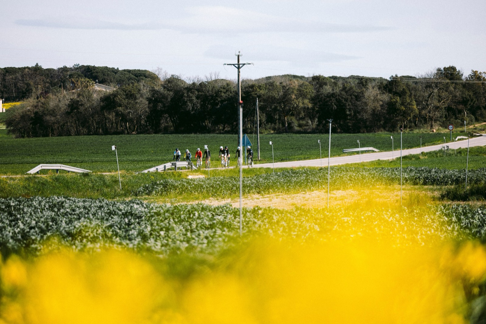 Um último giro pelo verde
